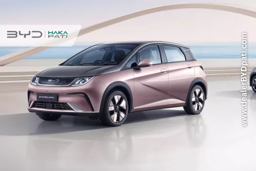BYD Dolphin Pati